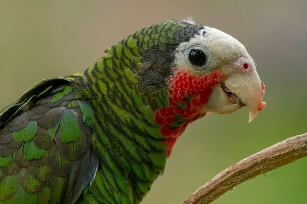 Naturaleza